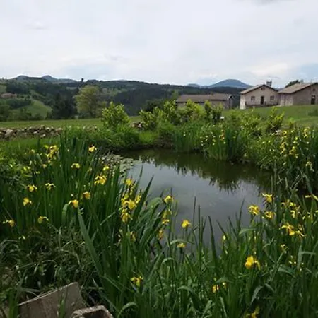 Escapade Romantique Dans Ferme Restauree Avec Et Jardin A - Fr-1-582-500 * Yssingeaux