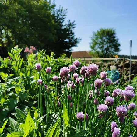 Escapade Romantique Dans Ferme Restauree Avec Et Jardin A - Fr-1-582-500 *