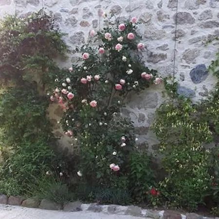 Escapade Romantique Dans Ferme Restauree Avec Et Jardin A - Fr-1-582-500