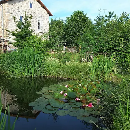 Escapade Romantique Dans Ferme Restauree Avec Et Jardin A - Fr-1-582-500 * Yssingeaux
